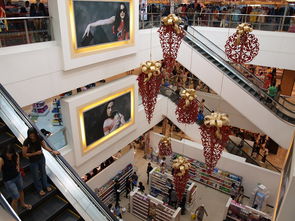 开云体育下载-迈向未来：Chinese Taipei团队在国际赛场的崭新发展，chinese of taipei